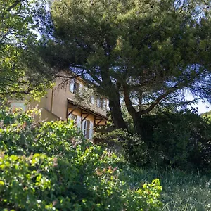 Au Pied De La Sainte Baume Appartement
